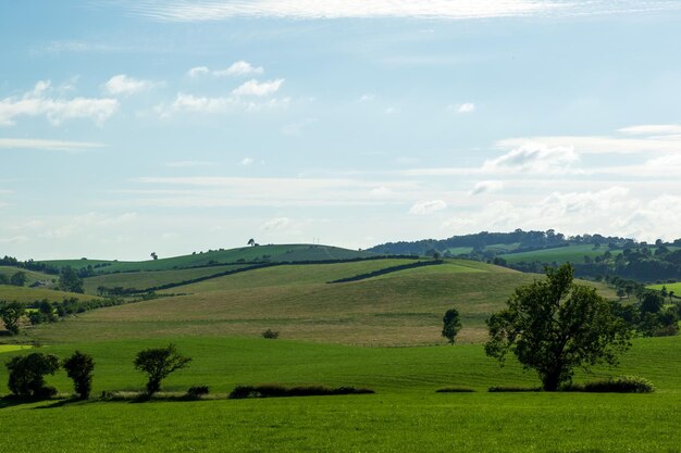 Foto una vista delle dolci colline e delle colline