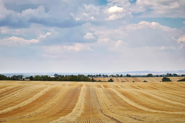 Foto vista del paesaggio ondulato contro il cielo