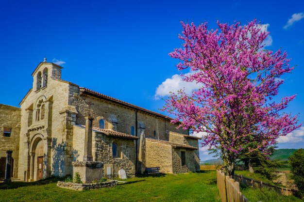 Saint Jean de Galaure(Ardeche, France)에 있는 Saint Agnes 교회의 로마네스크 양식 외관