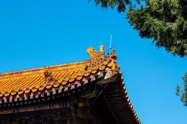 View of roofs in Beijing's Forbidden City China