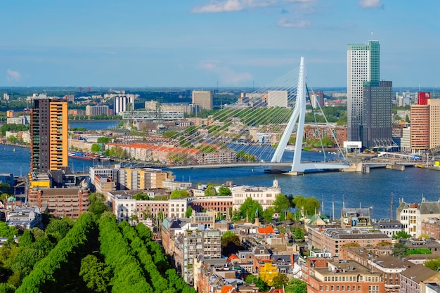 View of Rotterdam city and the Erasmus bridge