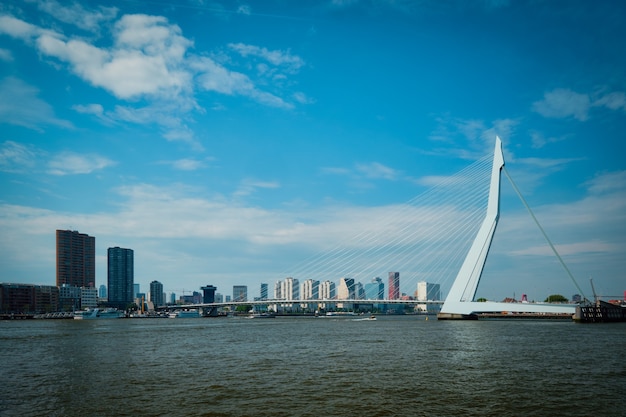 Vista di rotterdam sopra nieuwe maas con il ponte erasmusbrug rottherdam nei paesi bassi