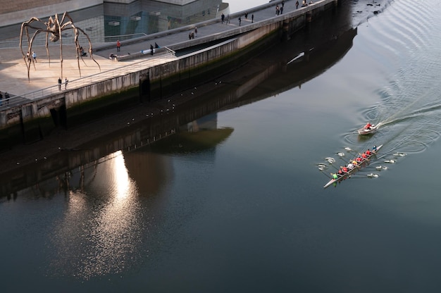 View of a rowing team training in the Bilbao estuary in front of the Gugenhein museum