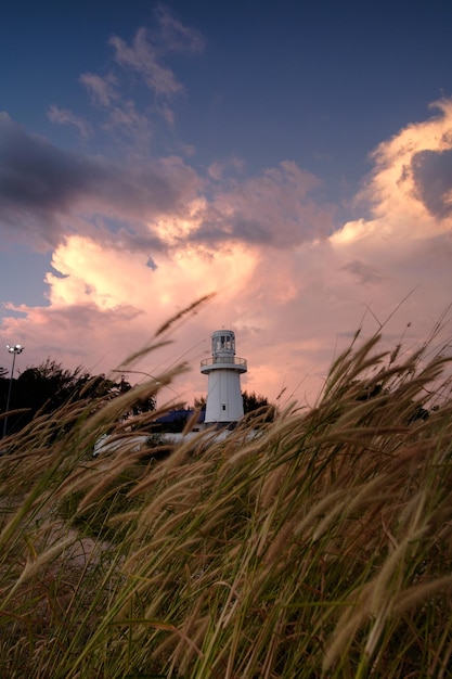 Photo view of rural landscape against cloudy sky