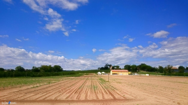 Foto veduta del paesaggio rurale