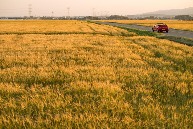 Photo view of rural landscape