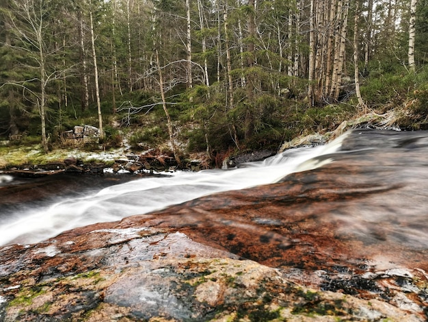 Siljan、ノルウェーの森の中の川を流れる急いで水を見る