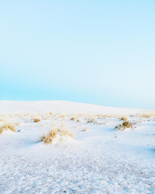 Photo view of sand dune against blue sky