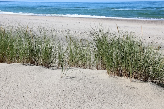 вид на песчаные дюны с полосой травы на море и небо