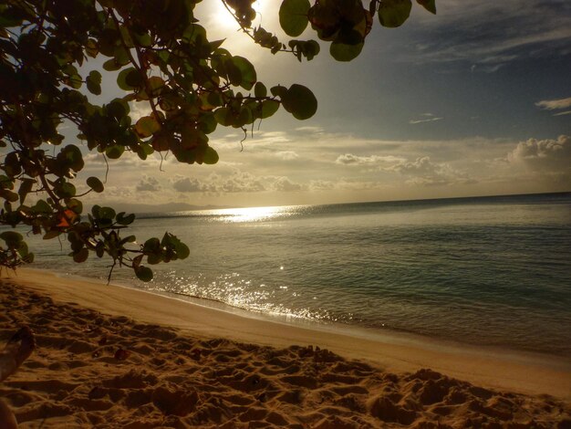 Photo view of sandy beach and sea