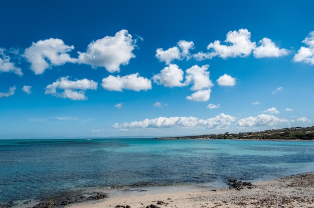 View of the sardinian beach of Stintino