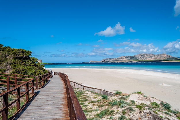 View of the sardinian beach of Stintino