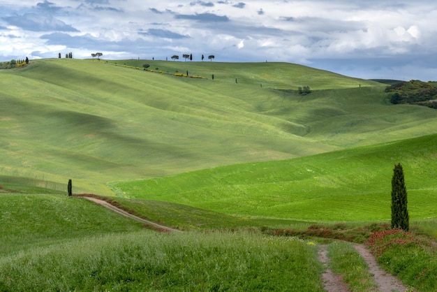 Foto vista della pittoresca campagna toscana