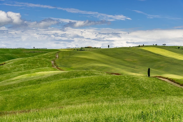 View of the scenic Tuscan countryside