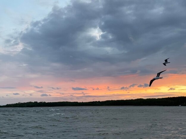 View of sea against sky during sunset