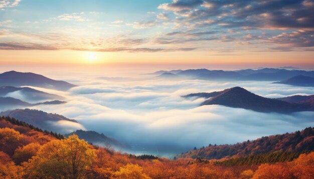 View of the sea of clouds from the top of the mountain beautiful spring falling leaves with the reflection of the sun High Quality Real Image Result ar 74 v 52 Job ID b826601382184742adb7de1b68d2f9c2