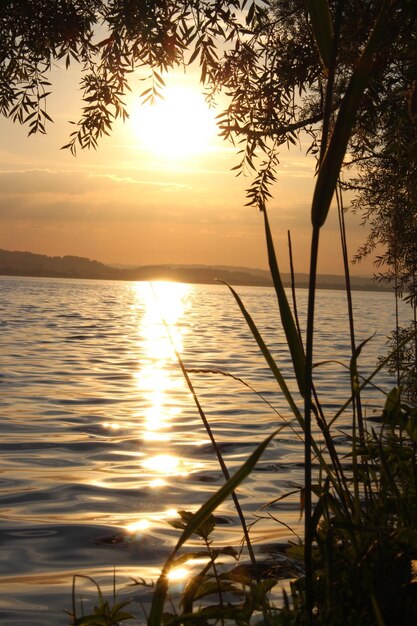 Foto la vista del mare al tramonto