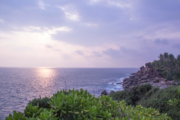 A view of the sea from the cliff