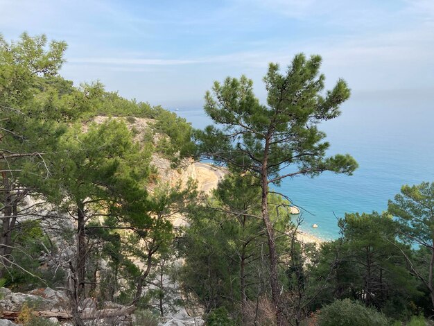 Foto una vista del mare dalla montagna