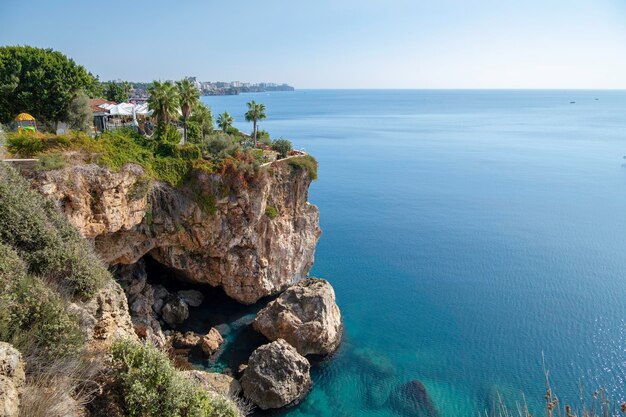 View of the sea rocky limestone coast with palm trees plants and the city in the distance