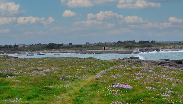 Foto una vista del mare in normandia, francia