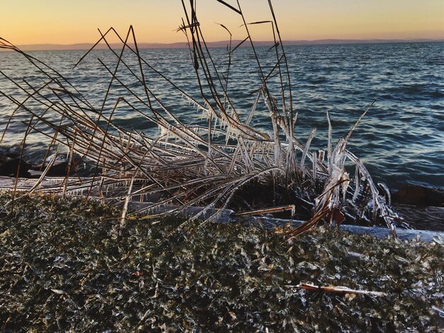 View of sea at sunset