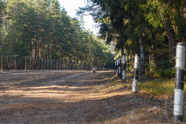 View of the section of the state border