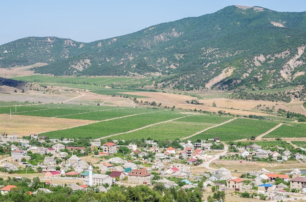 View of a settlement in a mountain valley houses outbuildings vineyards