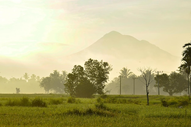 Photo view of the seulawah valley