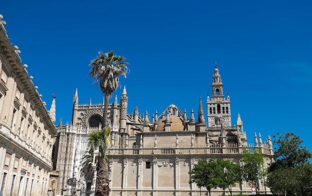 View of Seville Cathedral with the Giralda in the background