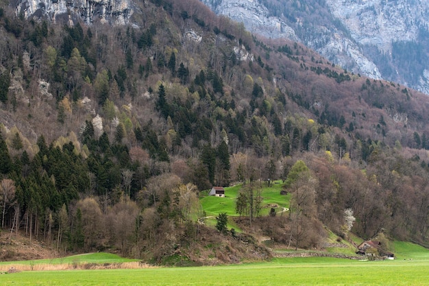 View of the shores of Lake Walensee in Switzerland