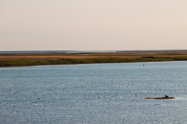 View on the Sivash lake Ukraine