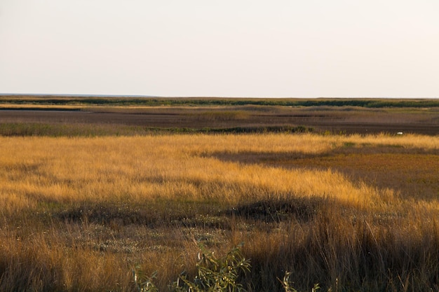 Photo view on the sivash lake ukraine