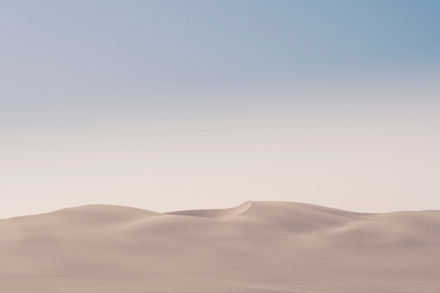 アフリカのナミビアの朝のスケルトンコーストの砂漠の砂丘の眺め。