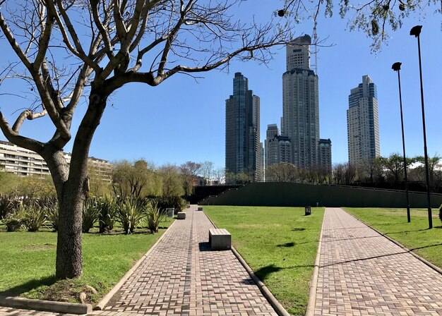 Foto vista dei grattacieli nel parco