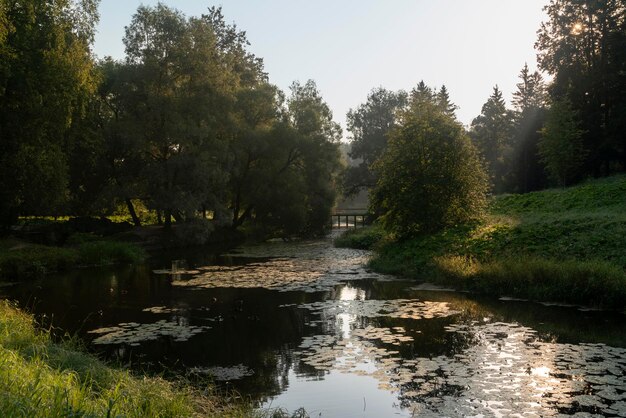 View of the Slavyanka River and the Black Bridge in Pavlovsky Park on a sunny foggy summer morning Pavlovsk St Petersburg Russia