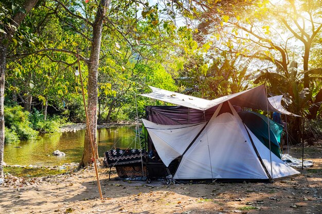 View of a small blue tent perched in the shade of a tree near a\
stream