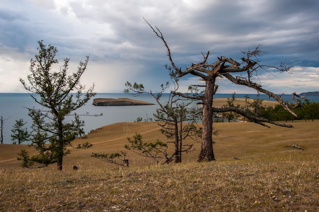 View of a small island on Baikal from the steppe between two trees in gloomy weather