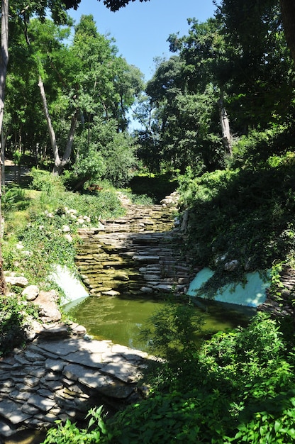 공원에 있는 작은 연못의 전망. 평평한 돌로 된 연못의 은행. 여름, 화창한 날.