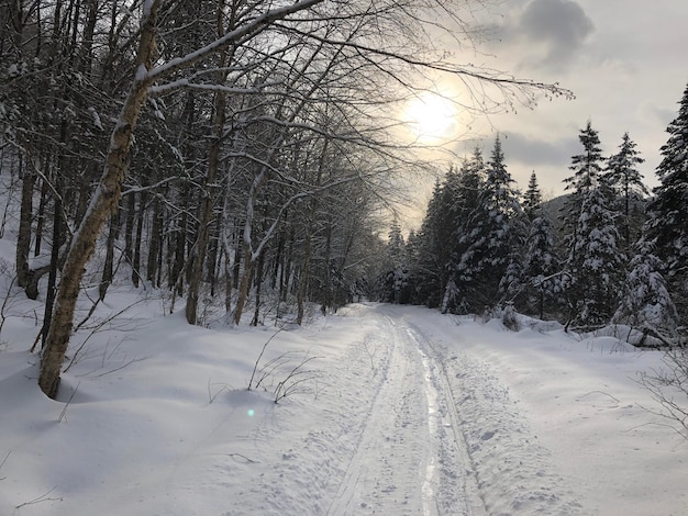 view of snow covered footpath against sky during sunset
