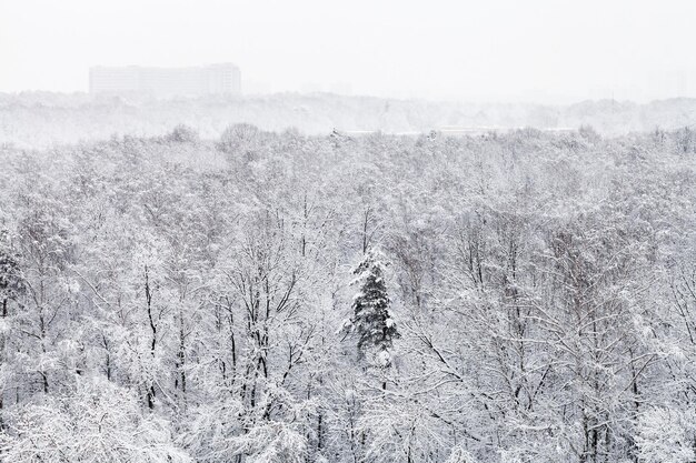 Above view of snow covered urban park in winter