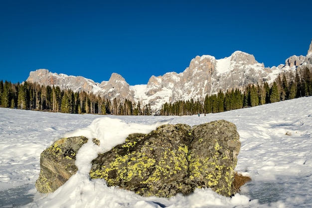 눈 덮인 Pale di San Martino 산맥의 푸른 하늘 전나무 숲 Calaita 호수 Trentino의 전망