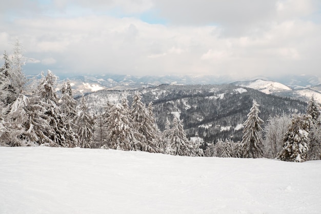 雪に覆われたウクライナのカルパティア山脈のコピースペースのビュー