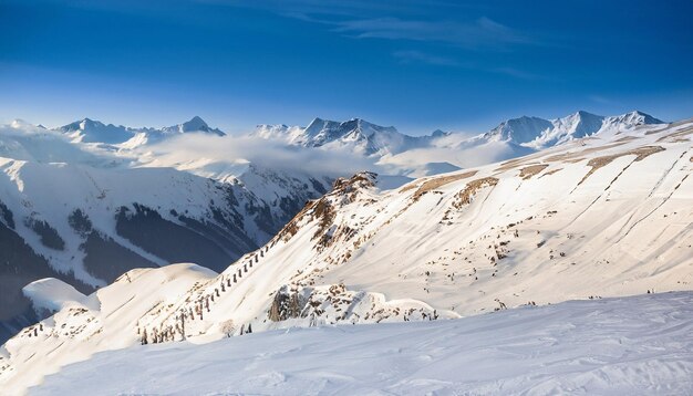 View of a snowy mountain and fir trees with a blue sky background