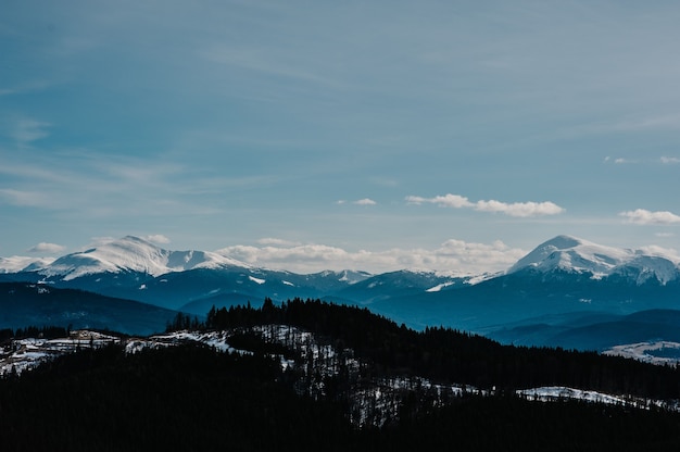 雪山の眺め。カルパティア山脈の性質。森、山、青い空のある風景。