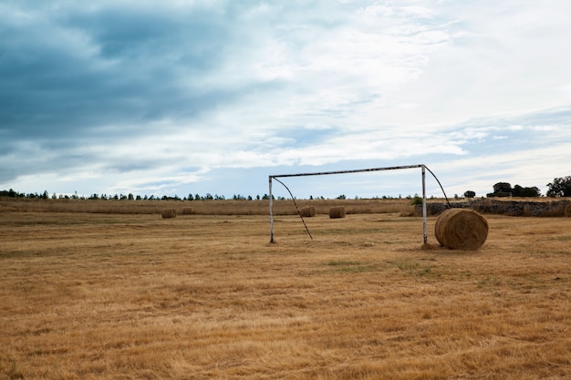 Foto vista della porta di calcio nel campo del raccolto