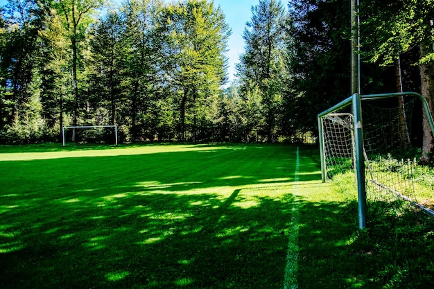 Photo view of soccer field against trees