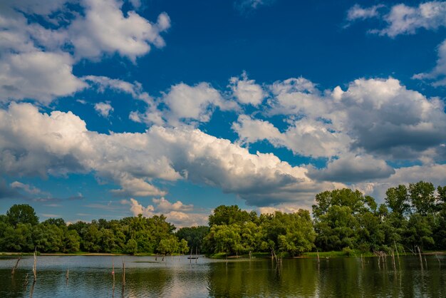 View at Sodros lake beach on Danube in Novi Sad, Serbia