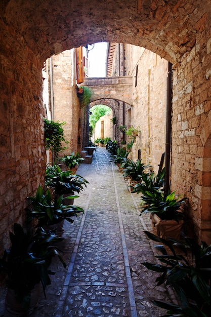 View of spello town