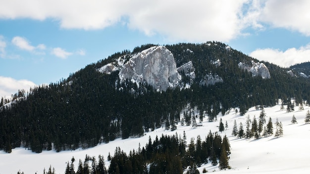 Vista dei carpazi primaverili romania picco roccioso e valle in parte ricoperti da boschi di neve